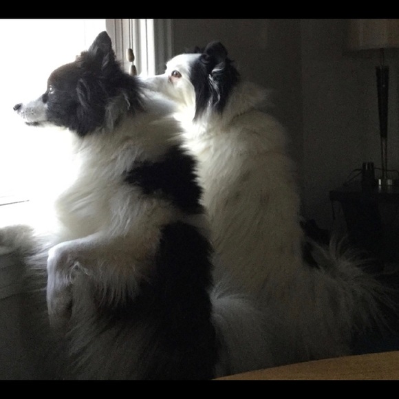 Meet your Posher, Paula - Picture 3 of 12